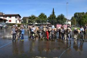 whatsapp image 2023 10 16 at.07.39