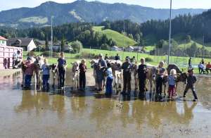 whatsapp image 2023 10 16 at.08.00