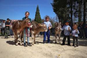   jungzuechter podest kat.