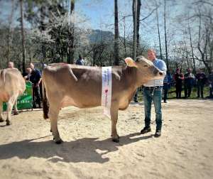   champion ob   anakin alessia   felder hans