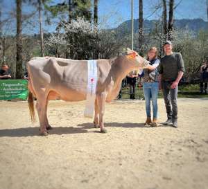   champion bs   rocky lambada   portmann adrian