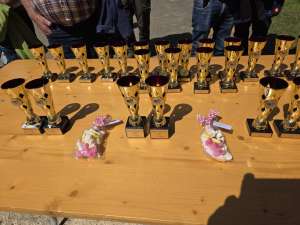 whatsapp image 2026 04 14 at.47.34