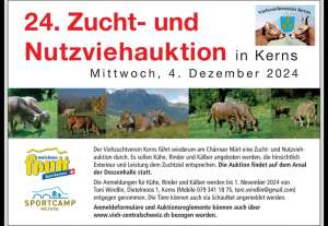 screenshot 20241022 whatsapp