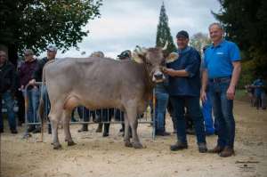 miss genetik ob morin melodie  stalder rene halse