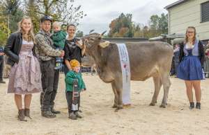 rinderchampion ob