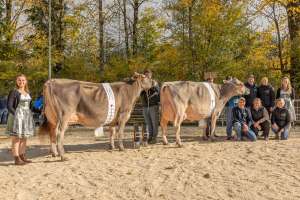 champion bs jongleur janina und vizechampion salomon sina   eliteschau entlebuch 2025