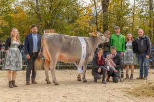 junior championwahl bs   eliteschau entlebuch 2025