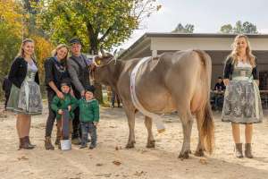 misswahl original braunvieh   eliteschau entlebuch 2025