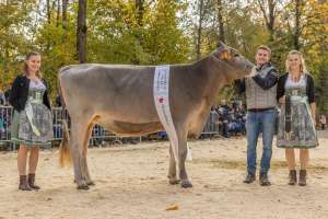 rinderchampionwahl bs   eliteschau entlebuch 2025