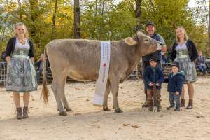 rinderchampionwahl ob   eliteschau entlebuch 2025