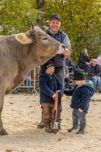 rinderchampionwahl ob   eliteschau entlebuch 2025