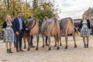 se bs 1.laktation   eliteschau entlebuch 2025