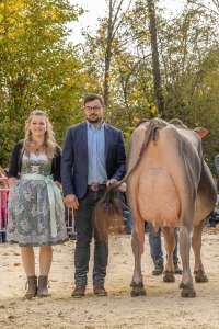 se bs aeltere kuehe  4. und ff. lakt.     eliteschau entlebuch 2025