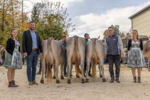 se ob junge kuehe  1. und 2. lakt.    eliteschau entlebuch 2025