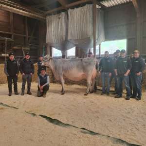 whatsapp image 2026 04 06 at 22.00.52  