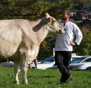dsc01556