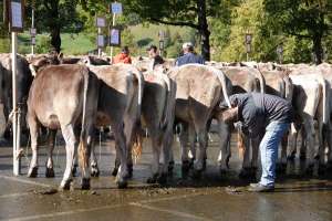 dsc01569