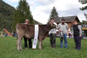 rinderchampion biniam amy  remo buergi feldgasse  