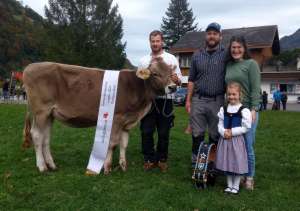 champion rind lungern amgarten martin
