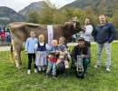 miss lungern von halter s brown swiss