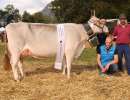 champion kuh bs  be alley von karl gisler   arnold  oberes oberfeld 1  haldi ch.1460.7537.2 