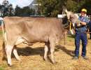 schoeneuter ob aeltere minor melodie von heinz planzer  buerglen ch.1528.7383.2 
