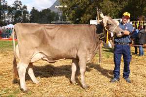 schoeneuter ob aeltere minor melodie von heinz planzer  buerglen ch.1528.7383.2 