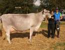 vize champion kuehe bs cameron von urs gisler  gemsstockstrasse 11  andermatt ch.1362.5656.9 