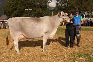 vize champion kuehe bs cameron von urs gisler  gemsstockstrasse 11  andermatt ch.1362.5656.9 
