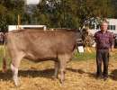 vize rinder champion ob vegas sina von franz walker  seedorf.1623.4244.1