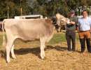 vize rinder champion raja von daniel walker  wildried   flueelen ch.1711.8636.4