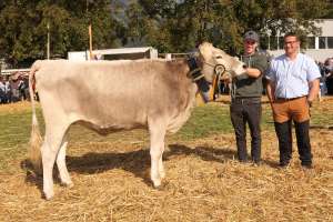 vize rinder champion raja von daniel walker  wildried   flueelen ch.1711.8636.4