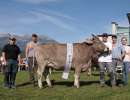miss ob rind rubel rina von moos reto