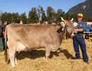schoeneuter ob aeltere jorat jura von heinz planzer  buerglen ur ch.1376.5574.3