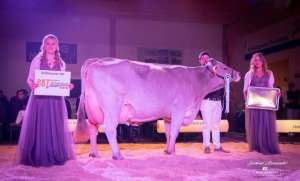 whatsapp bild 2025 12 06 um 09.19.19f1860