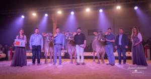 whatsapp bild 2025 12 06 um 09.19.19b0c3