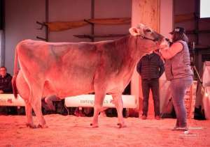 whatsapp bild 2025 12 06 um 09.19.19b96a93a