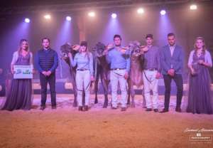 whatsapp bild 2025 12 06 um 09.19.19e27da