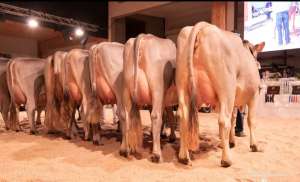 whatsapp bild 2025 12 06 um 09.19.19ec977c3