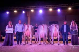 whatsapp bild 2025 12 06 um.19.19 c534b305