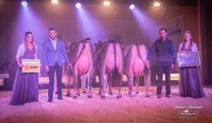 whatsapp bild 2025 12 06 um.19.19 c5db2403