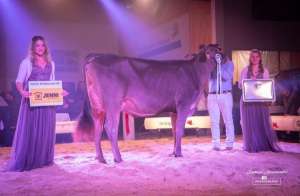 whatsapp bild 2025 12 06 um.19.19 ccf8cfdb