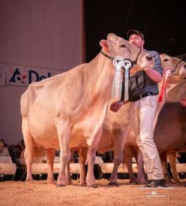 whatsapp bild 2025 12 06 um.19.19 f37761cb