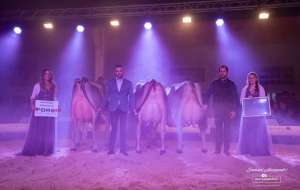 whatsapp bild 2025 12 06 um 09.19.20a9b39