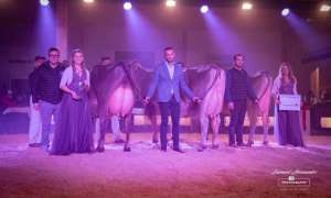 whatsapp bild 2025 12 06 um 09.19.20f311a