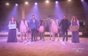 whatsapp bild 2025 12 06 um 09.19.20cb405e