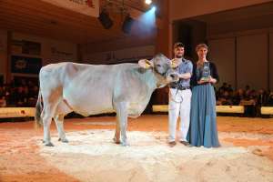 grand champion lubra ob lordan linda