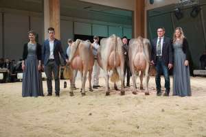 junior champion  v.l.n.r  haegar halma  huge sg et havanna  huge sg et happy