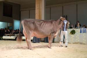 senior schoeneuter bs salomon sina