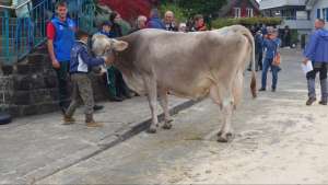 hoechste ll huray melindakg